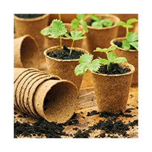 Coco-Seedling-Cups3-300x300